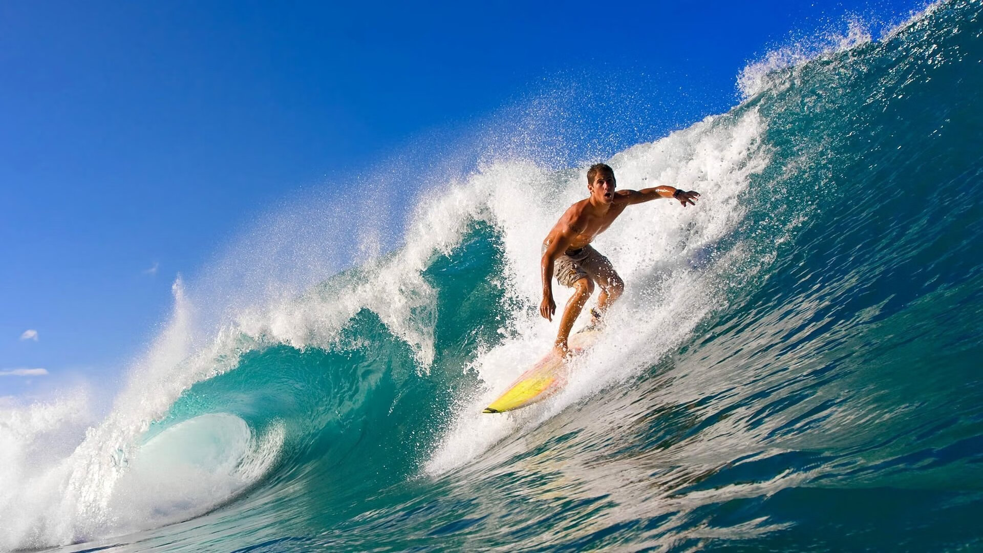 球迷文化新浪潮,从看台到社区,体育精神如何重塑城市凝聚力